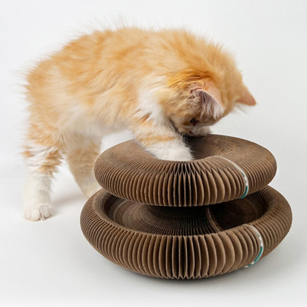 KittySpin