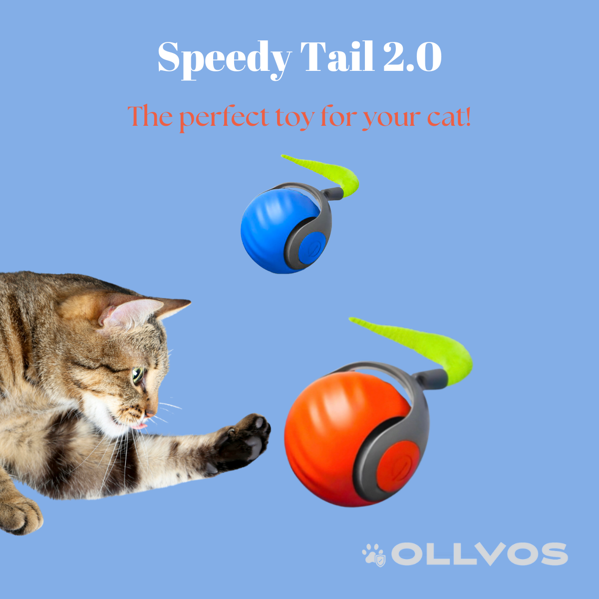 SPEEDY TAIL 2.0