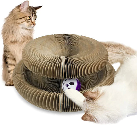 KittySpin