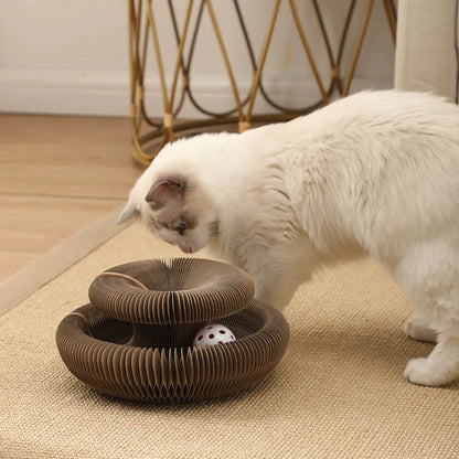 KittySpin