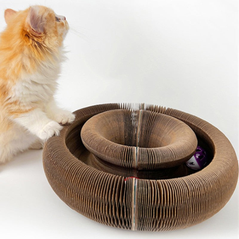 KittySpin