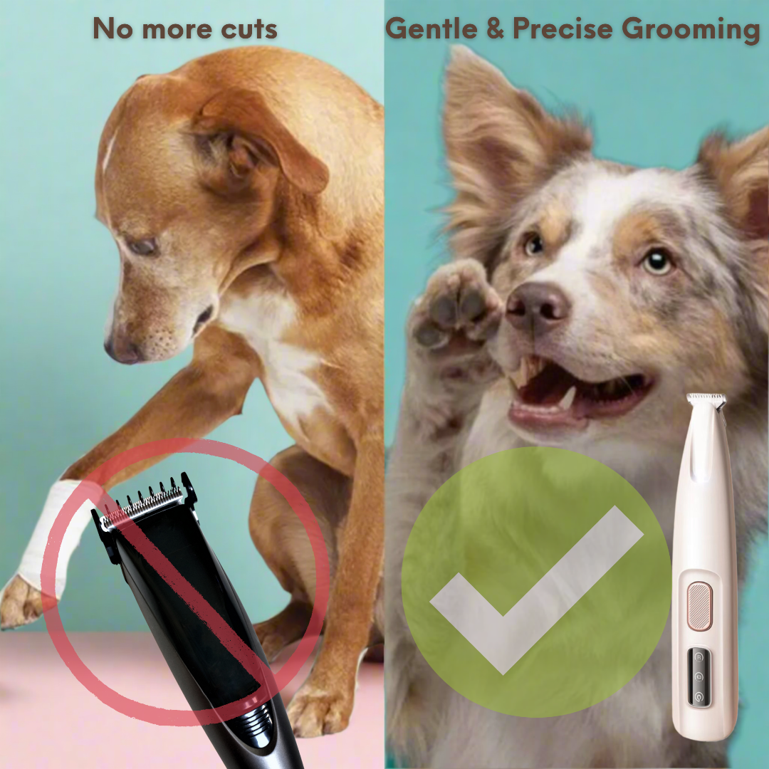 PawTrim LED