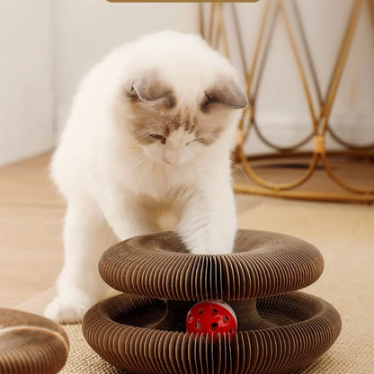 KittySpin