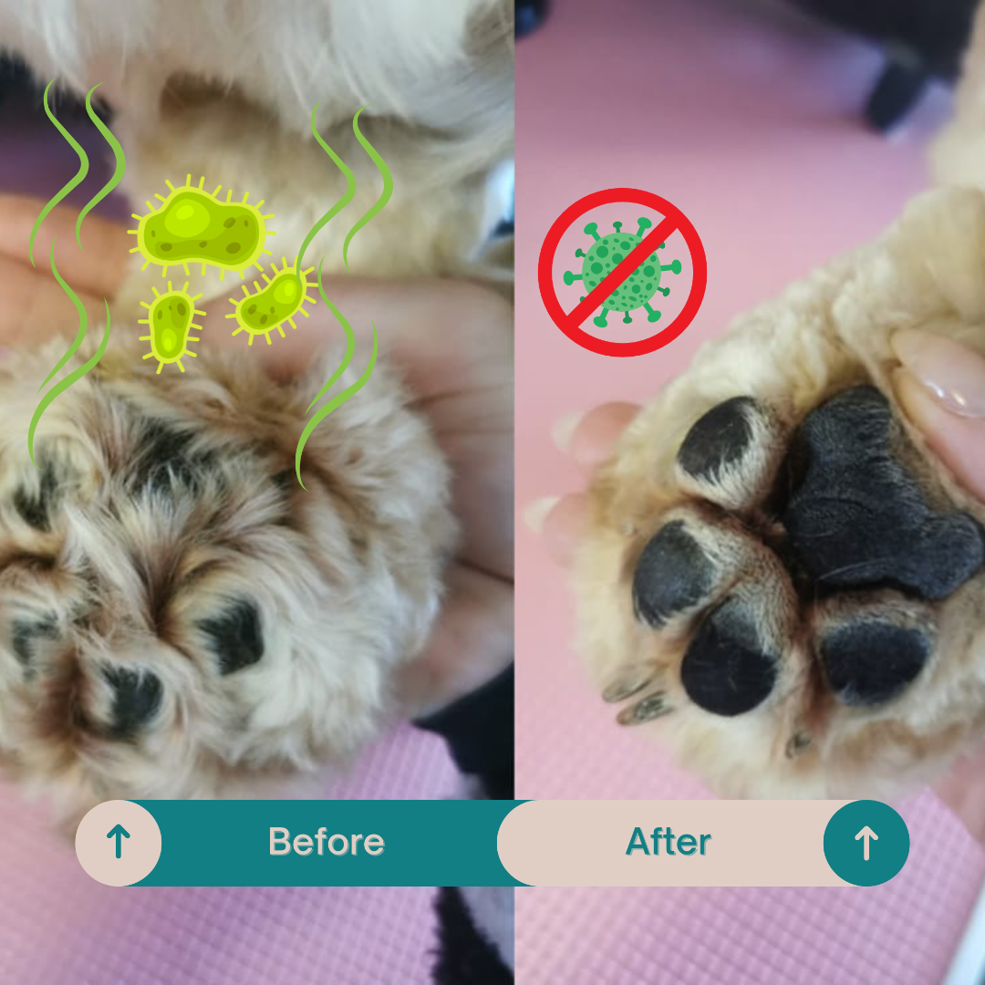 PawTrim LED