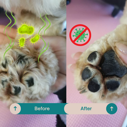 PawTrim LED